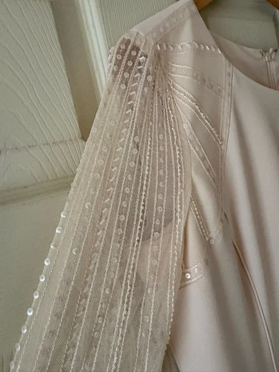 ANTONIO MELANI Soft Blush Pink Long Sleeve Sheer Sequin Dress - Picture 4 of 5